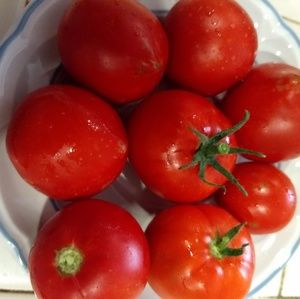 Meet your Posher, Ugh